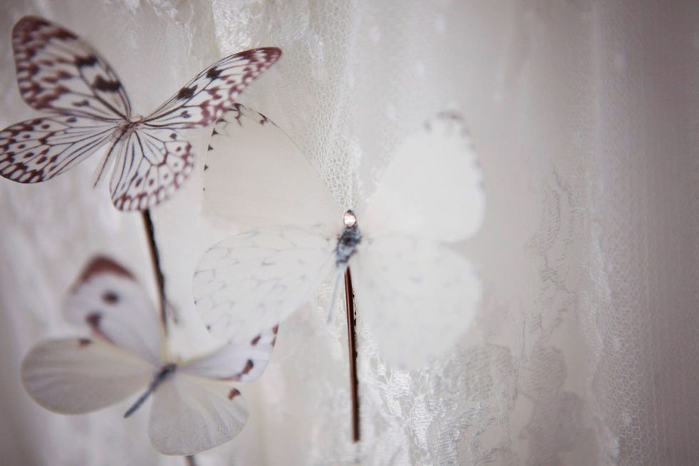 butterfly clips
