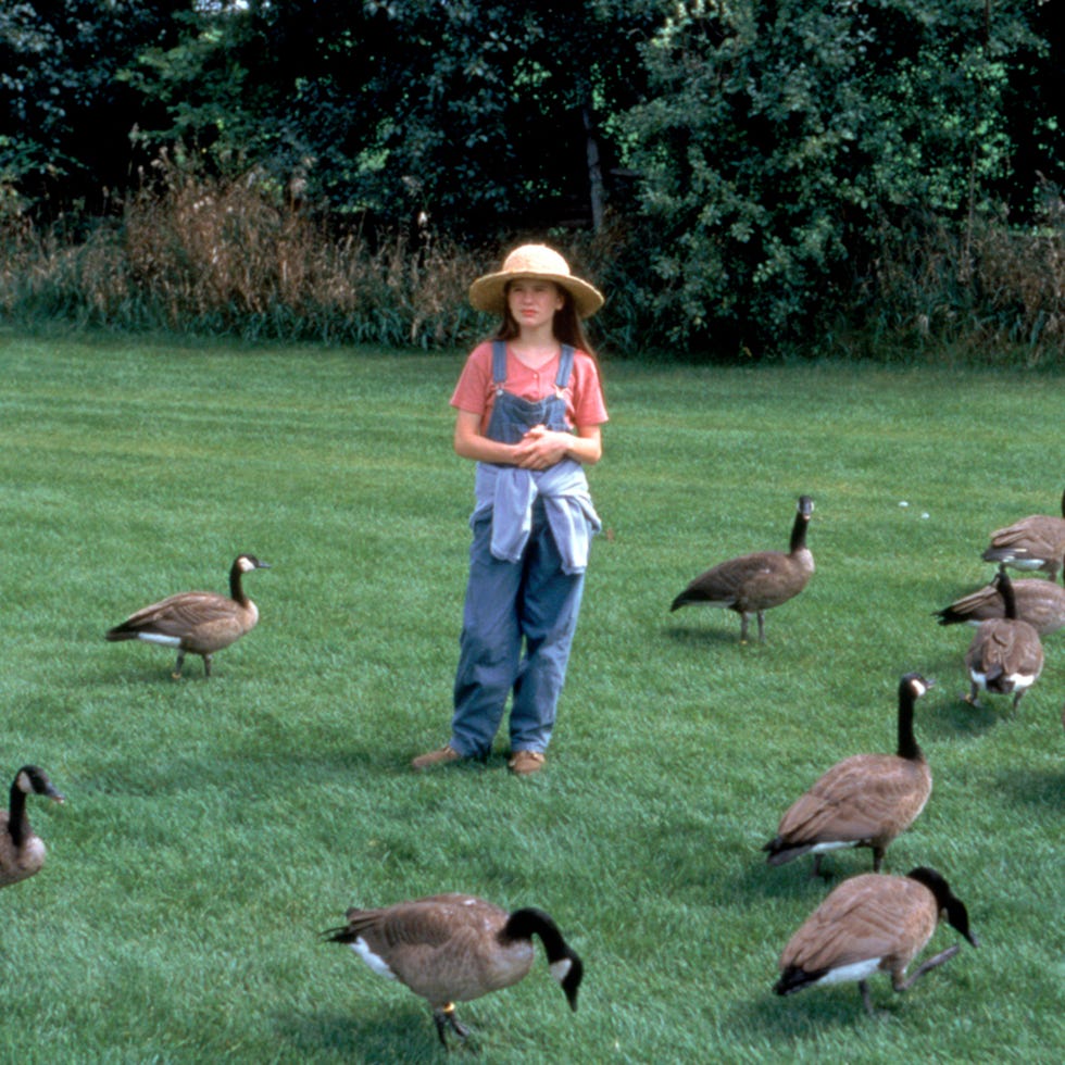 best fall movies best fall movies