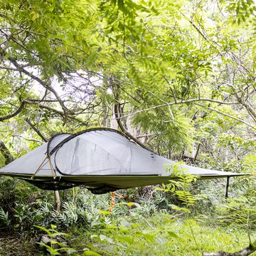 flying hammock tent in jungle