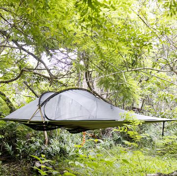 flying hammock tent in jungle