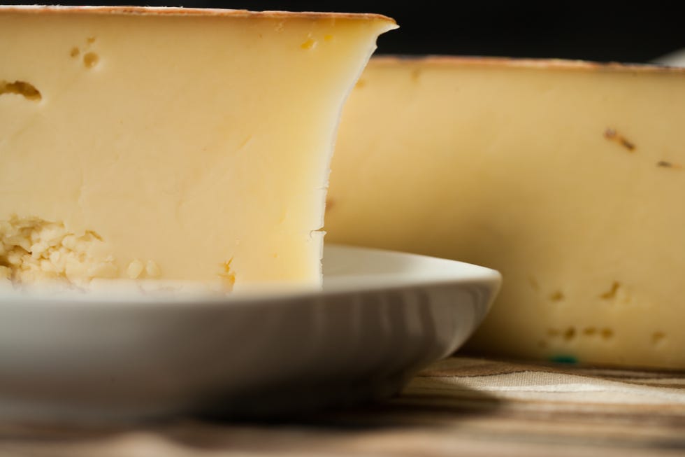 fontina cheese