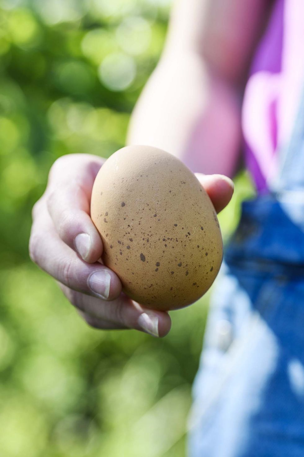 food artisans orchard farm organic eggs
