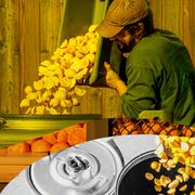 a man ferments oranges