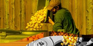 a man ferments oranges