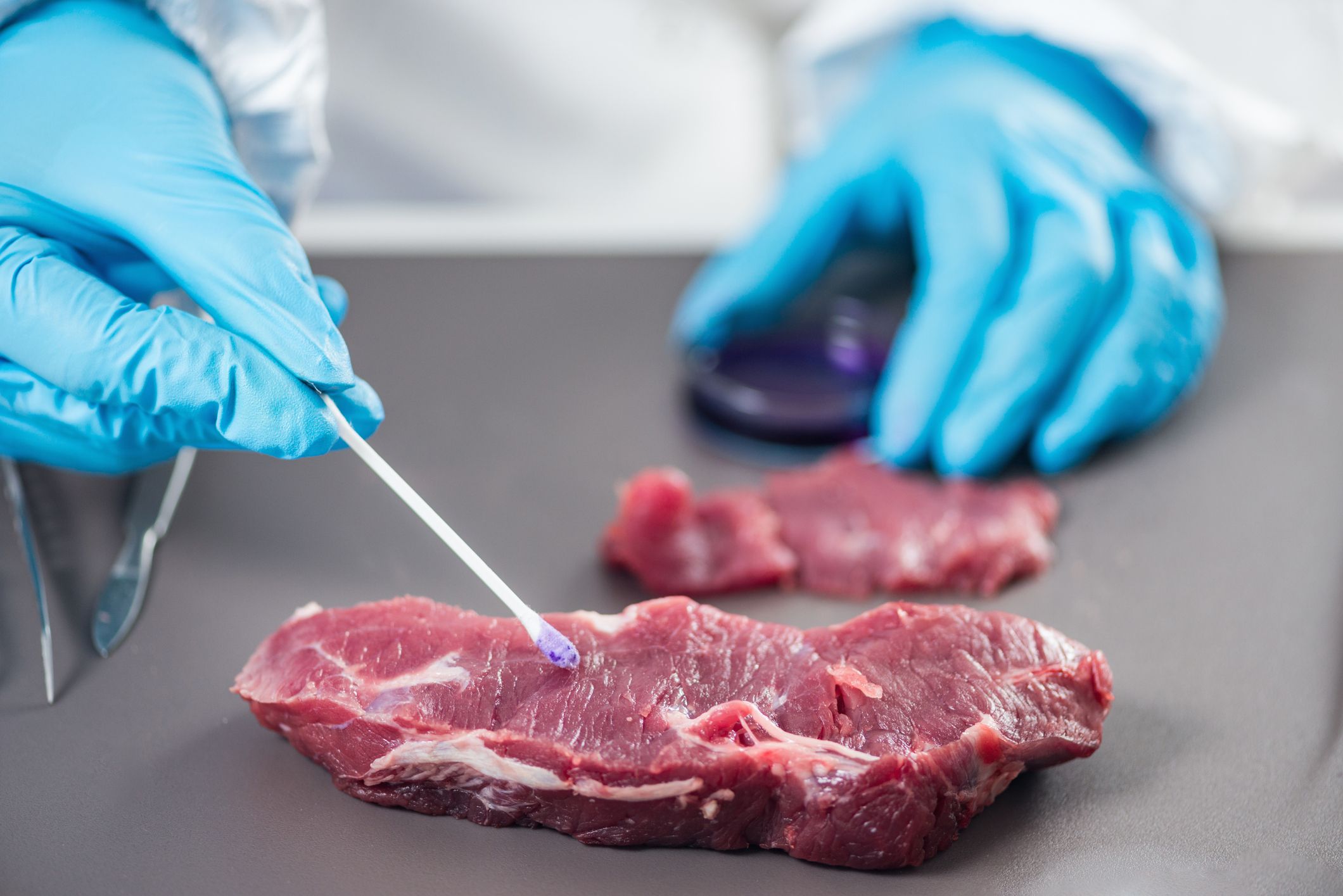 Is it possible that fake meat is just a false hope for a sustainable food industry? food safety laboratory technician testing red meat royalty free image 1575987465