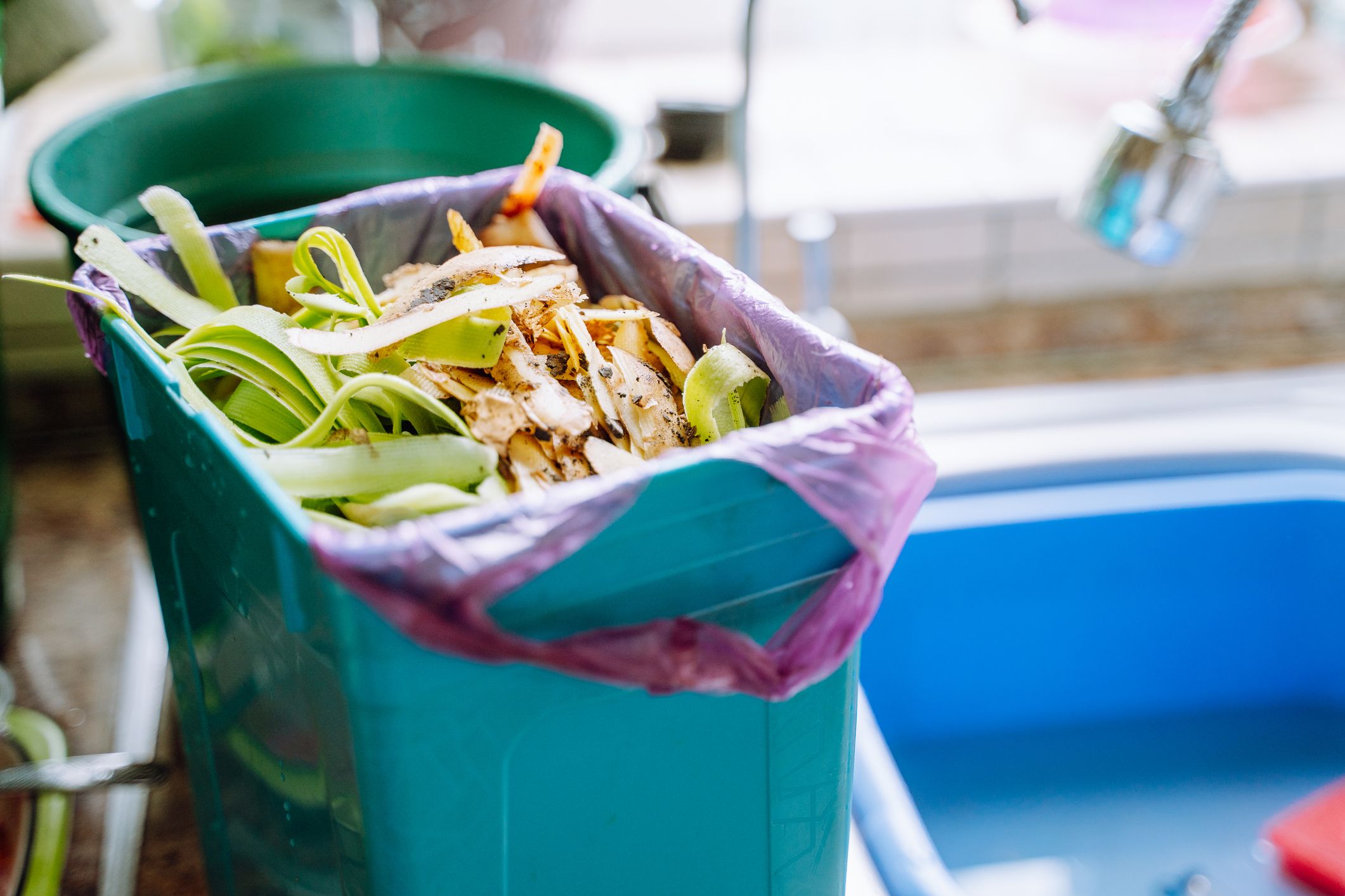 How To Compost At Home  Composting Is An Easy Win - Honestly Modern