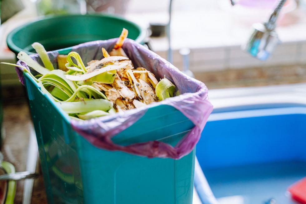 how to compost countertop compost bin