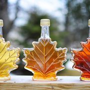 maple syrup recipes