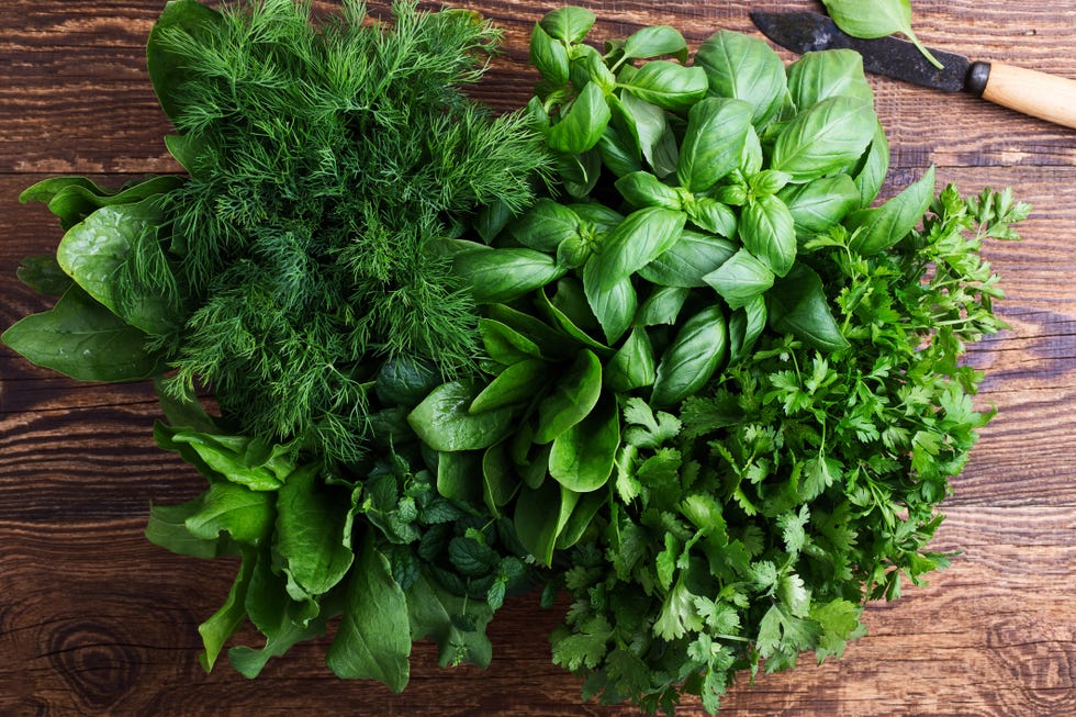 food to keep in freezer herbs