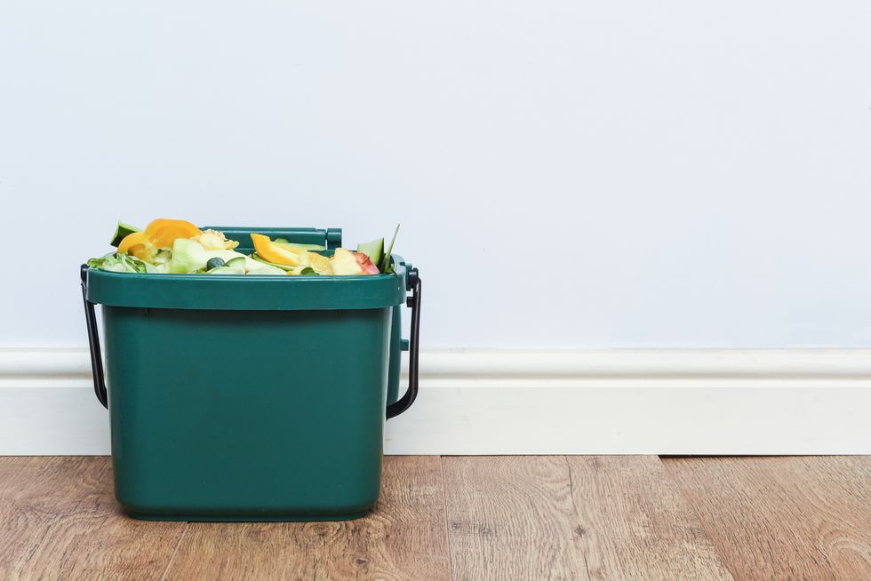 food waste from domestic kitchen responsible disposal of household food wastage in an environmentally friendly way by recycling in compost bin at home