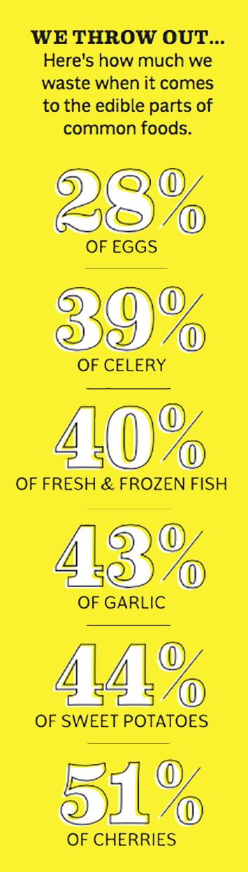 food waste infographic