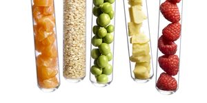 Foods in test tubes