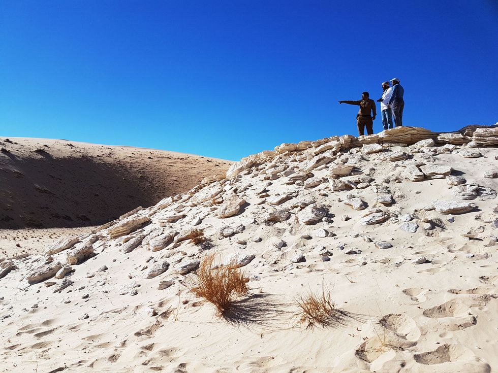 De fossiele voetafdrukken werden gevonden in de afzetting van het oude meer Alathar in SaoediArabi