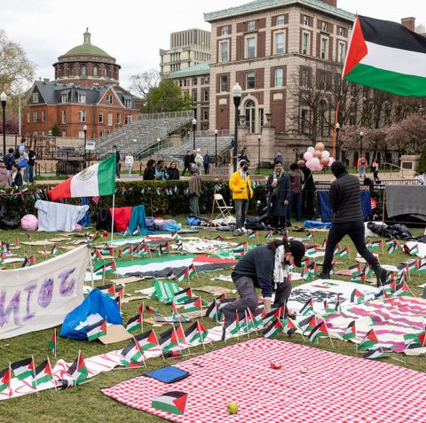 stati uniti proteste palestina università