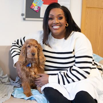 for the love of dogs with alison hammond