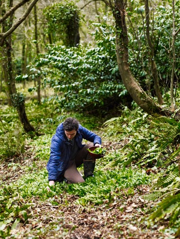 person foraging in the forest