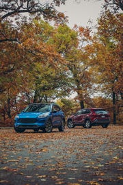 Land vehicle, Vehicle, Car, Leaf, Tree, Autumn, Mini SUV, Woody plant, Kia soul, Plant, 