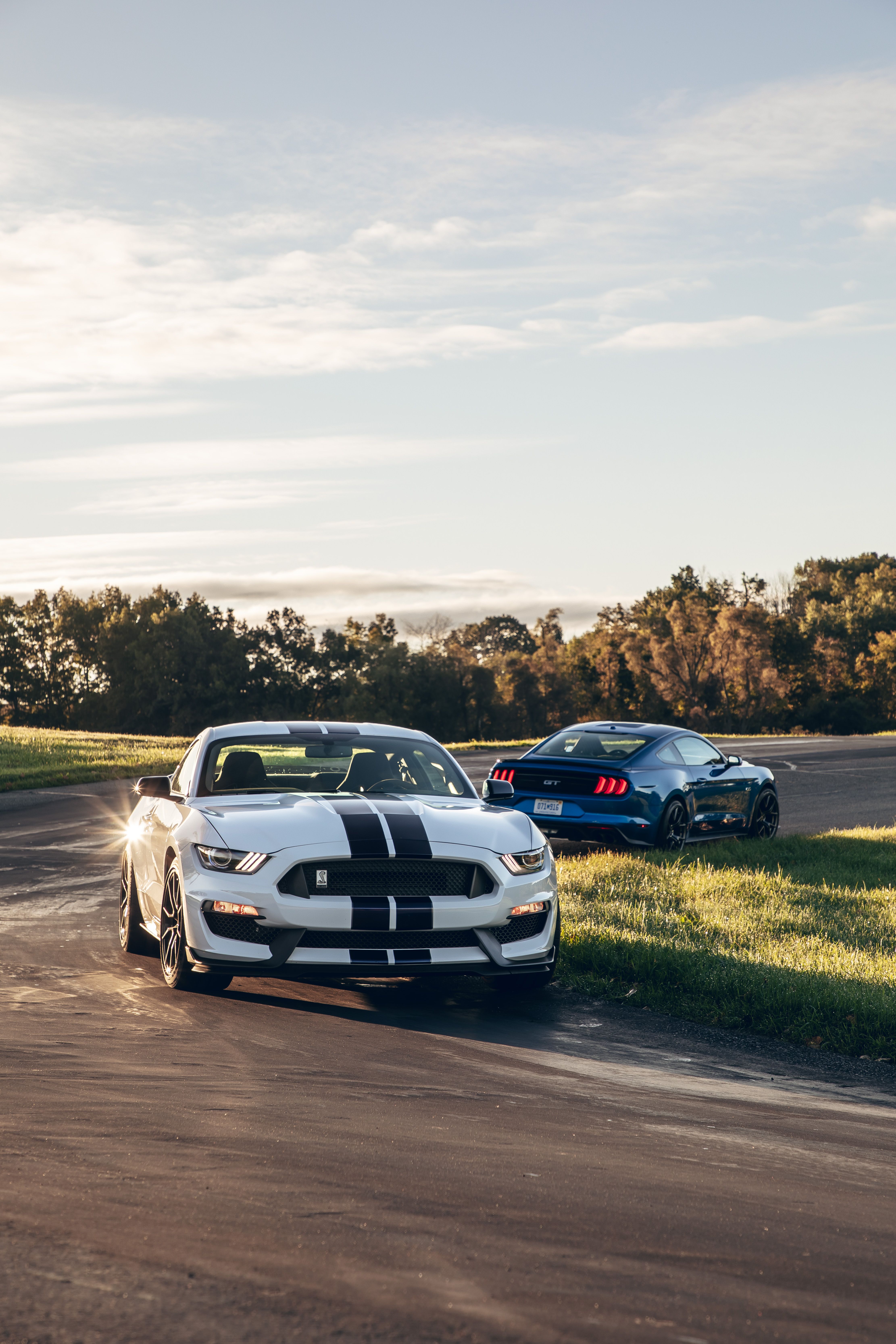 Ford Mustang Shelby GT350 Wallpapers and Backgrounds
