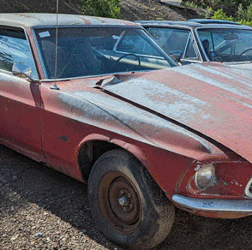 first generation ford mustangs in colorado junkyard