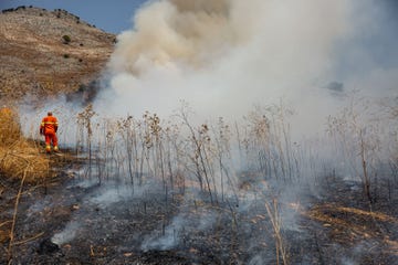 a forest ranger stands in the arid land burnt by a fire