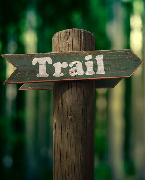 forest trail sign