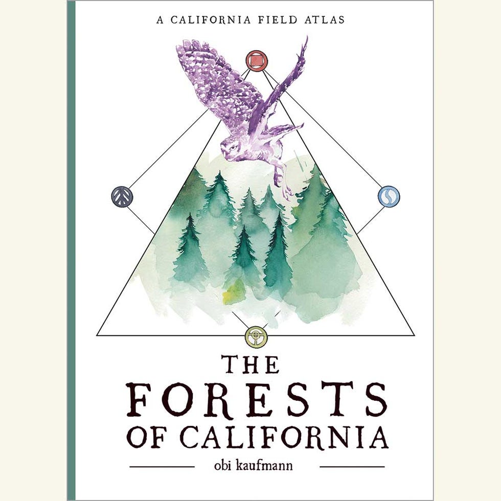 the forests of california, obi kaufmann