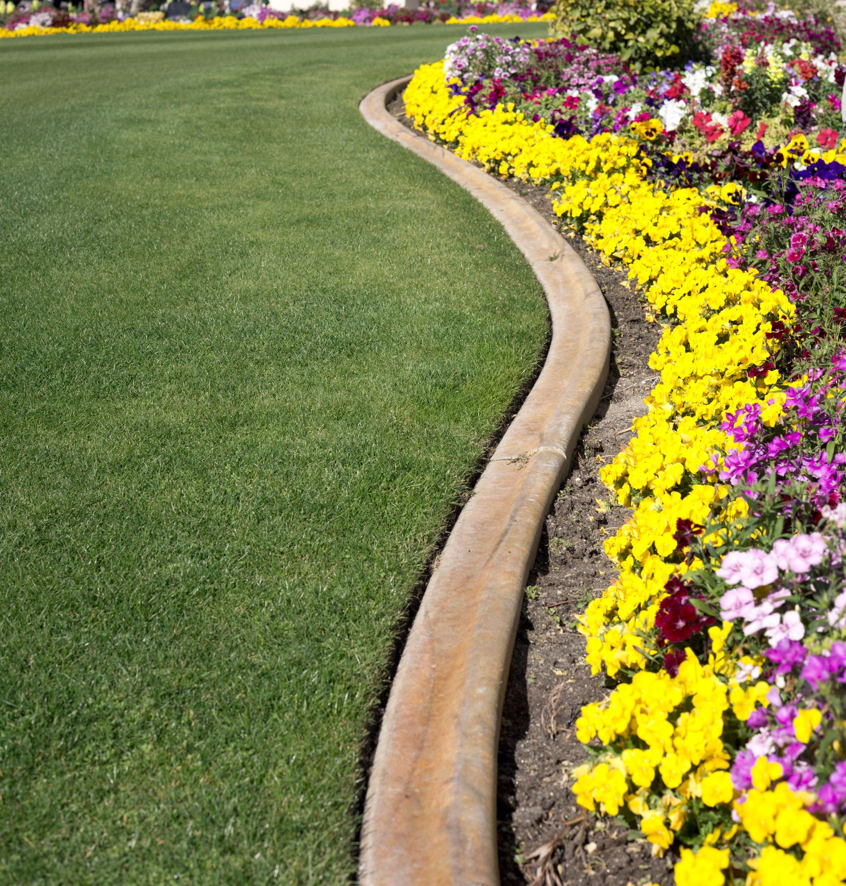 flower garden borders