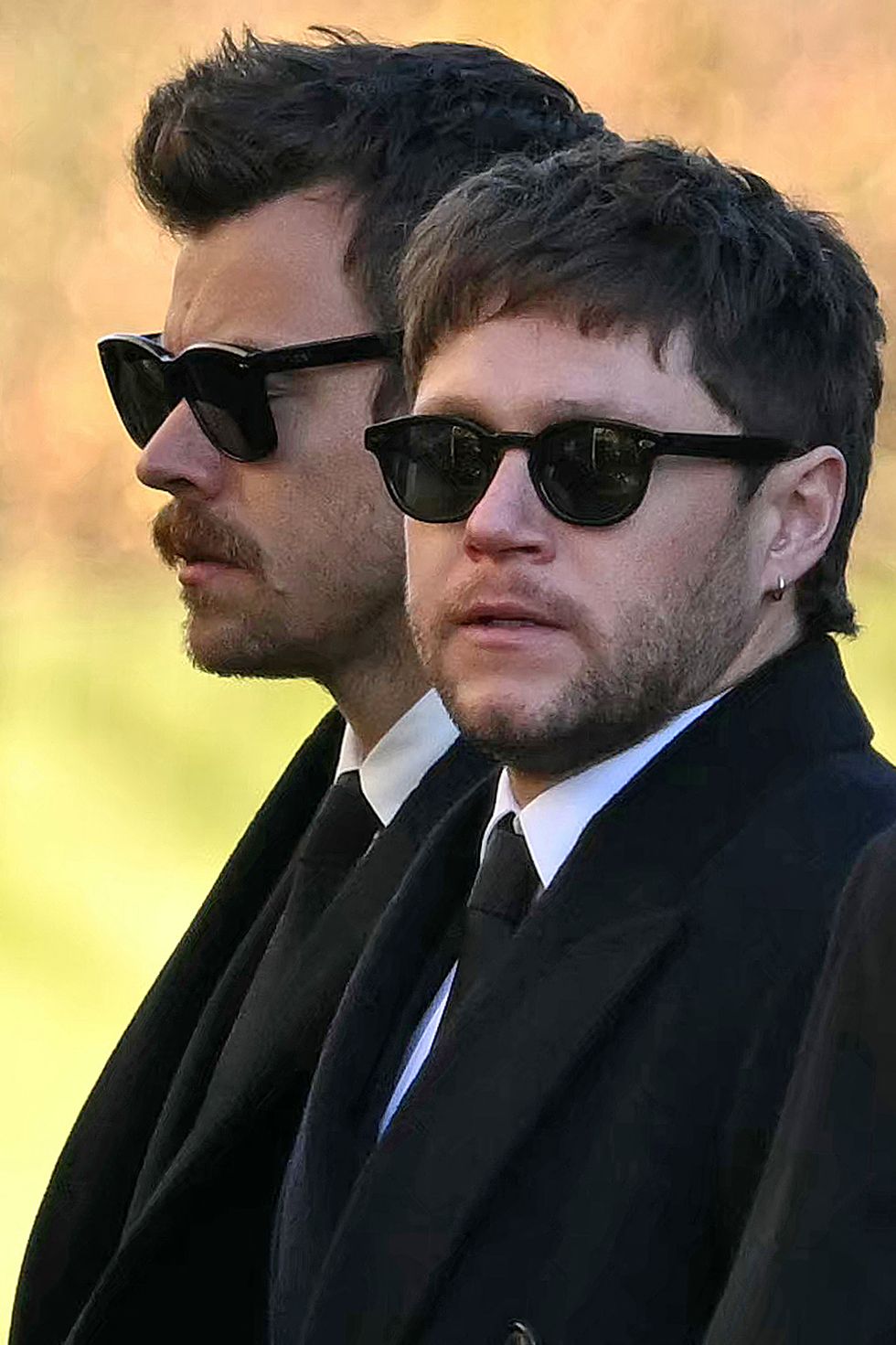 harry styles with niall horan at liam payne’s funeral