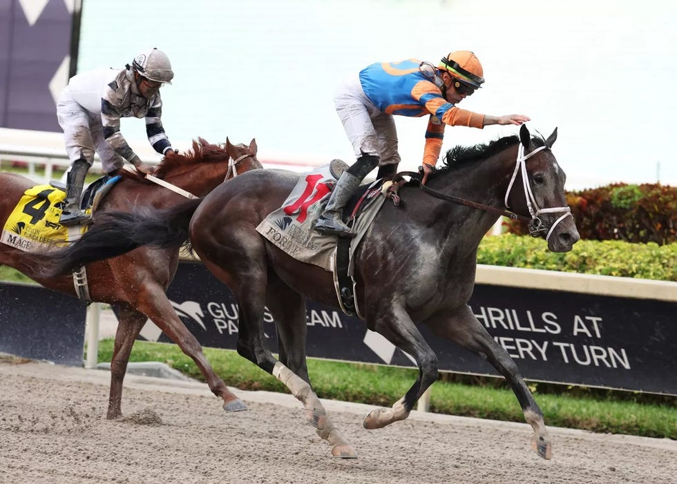 Top Kentucky Derby Horses 2023 Favored Kentucky Derby Horses