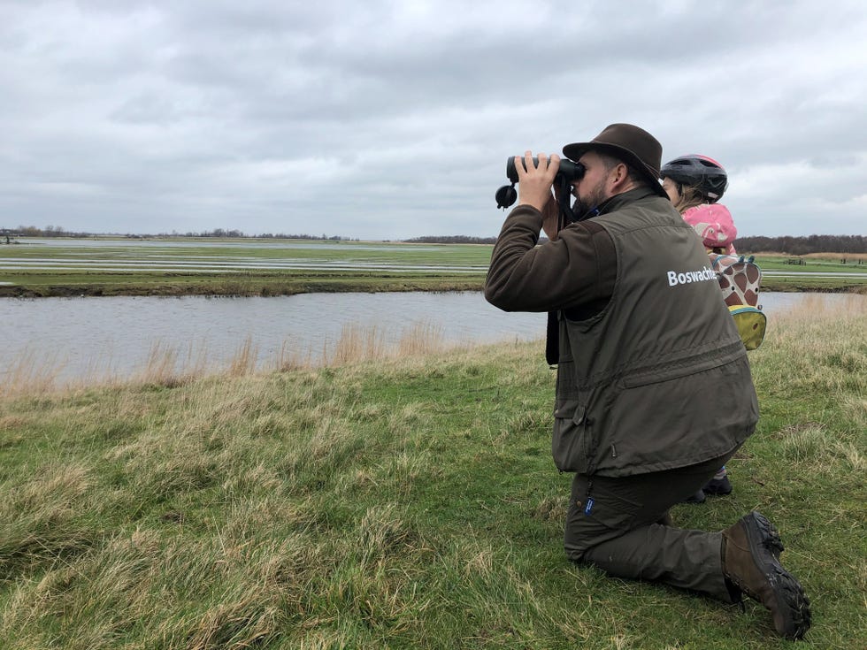Ode aan het Landschap