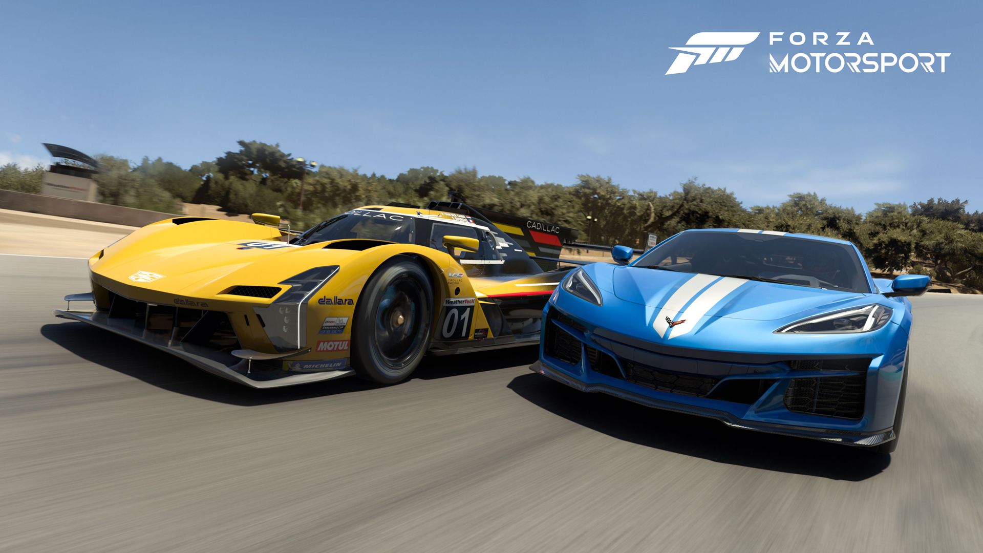 View Photos of Forza Motorsport on Xbox Series X