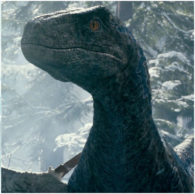 《侏羅紀世界：統霸天下》讓克里斯普瑞特與迅猛龍「小藍」重逢！克里斯普瑞特還攜手初代元老，闖蕩恐龍新紀元！