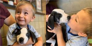 米ミシガン州に暮らすベントレー君は、口唇裂という先天性異常を持って生まれた2歳の男の子。彼の父親が偶然地元の動物保護シェルターで、ベントレー君を同じ症状を持つ子犬を見つけたことから、1人と1匹の間に友情が芽生え…。