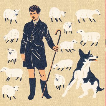 Illustration, Pattern, Art, Canidae, Design, Fictional character, Graphic design, Tail, 