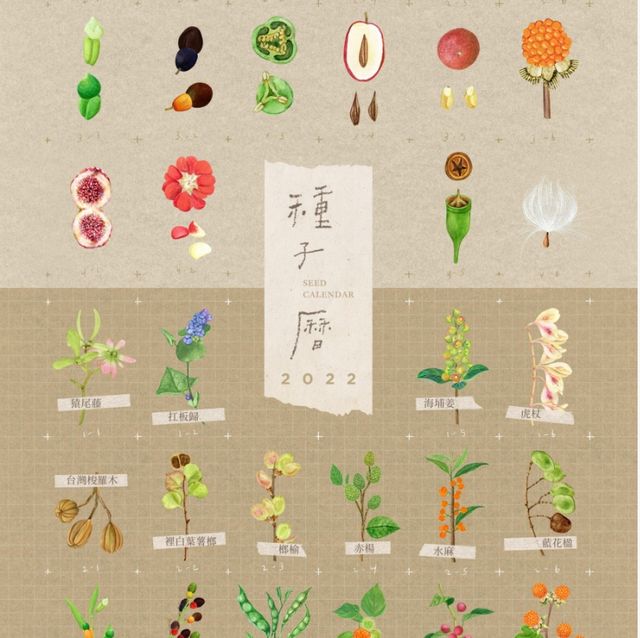 種子曆