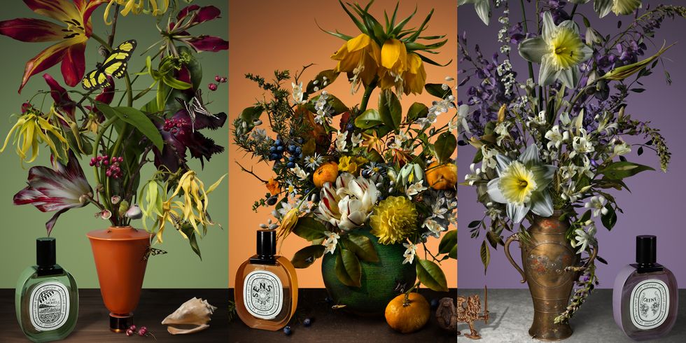 Floristry, Flower, Flower Arranging, Floral design, Still life, Still life photography, Flowerpot, Plant, Cut flowers, Houseplant, 