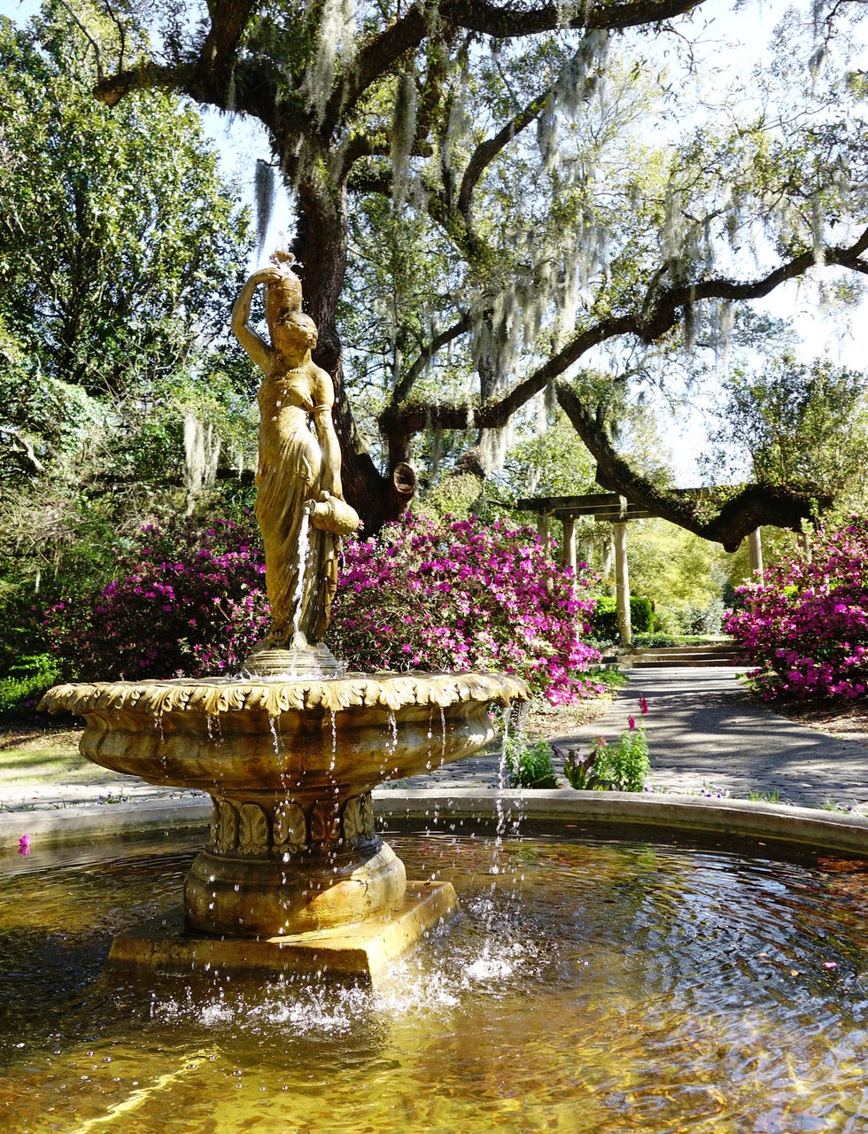 fountain and live oak trees in airlie gardens , wilmington north carolina