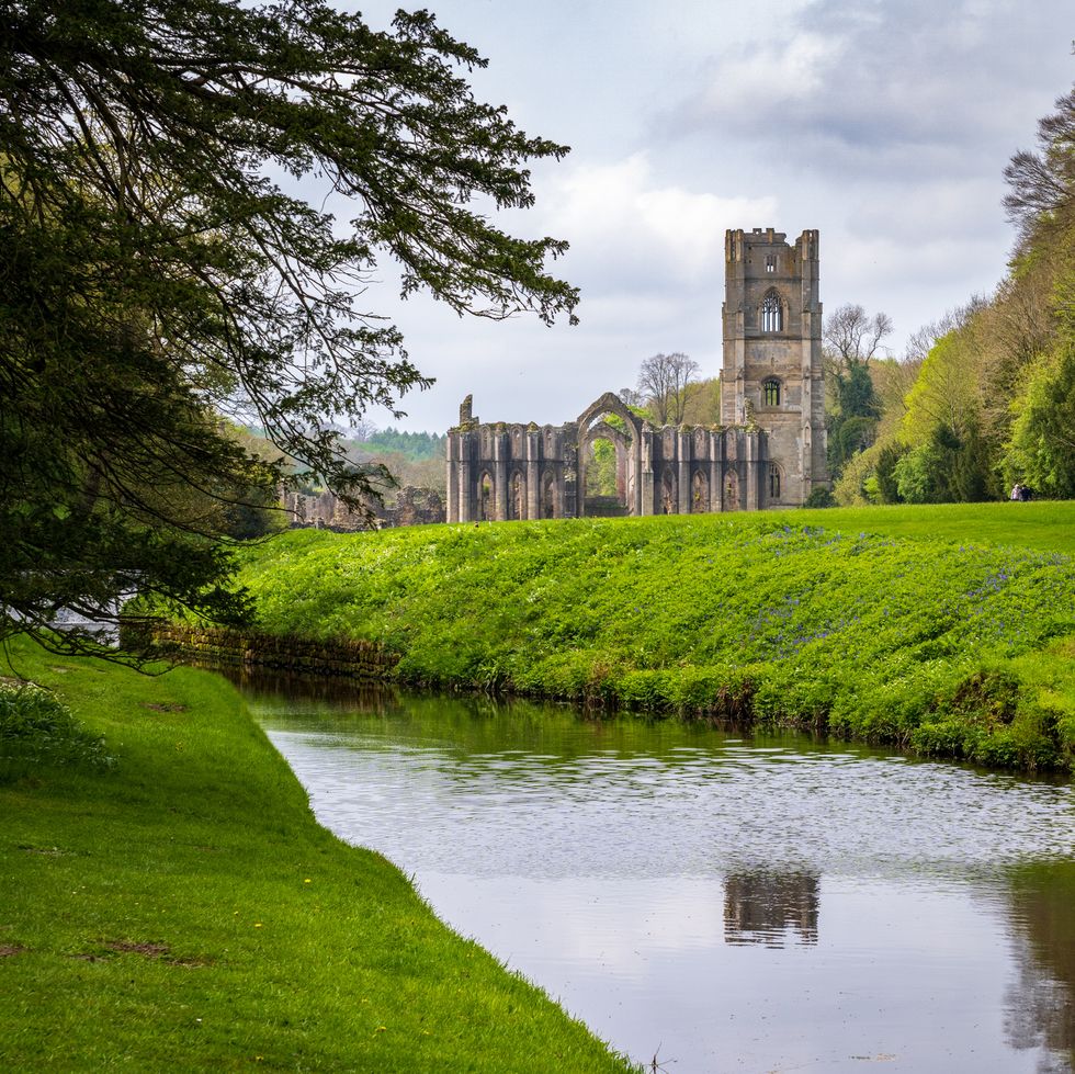 detail of the ruins of fountains abbey in yorkshire, united kingdom in the spring with river skell flowing past