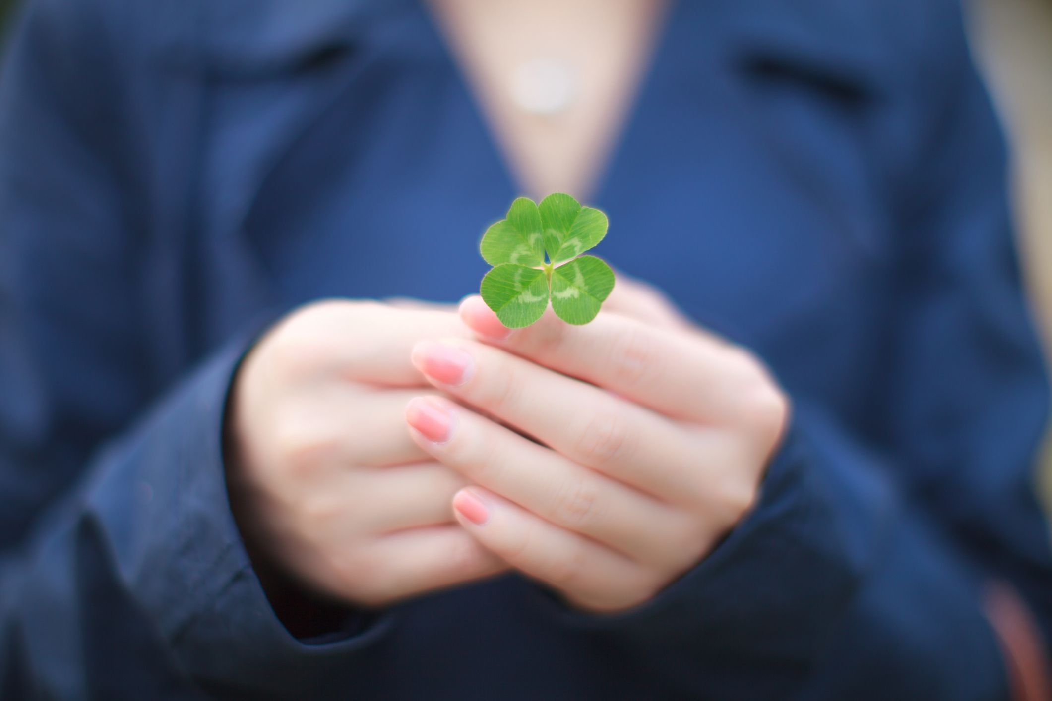 Curious Questions: Why are four-leaf clovers lucky? - Country Life