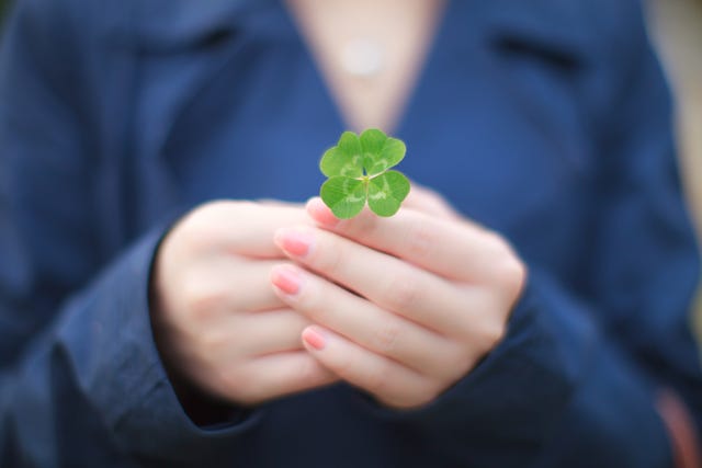 facts-about-four-leaf-clovers-why-they-re-lucky-how-they-differ-from
