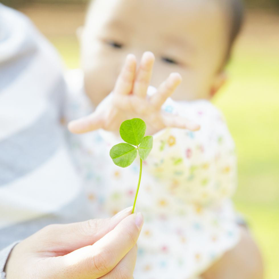 four leafed clover and baby