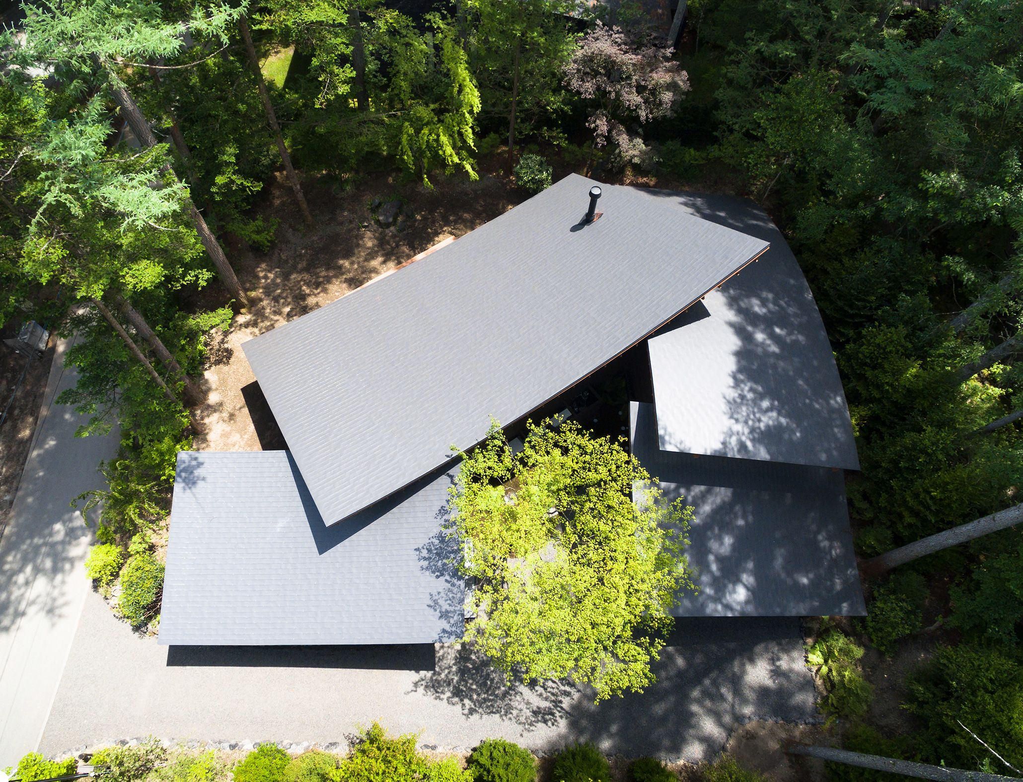 Una casa llena de luz y naturaleza con un patio interior en Tokio