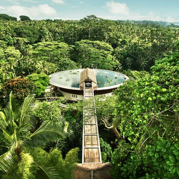 hotel set atop a pool in the jungle