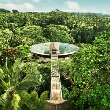four seasons in bali hotel set atop a pool in the jungle
