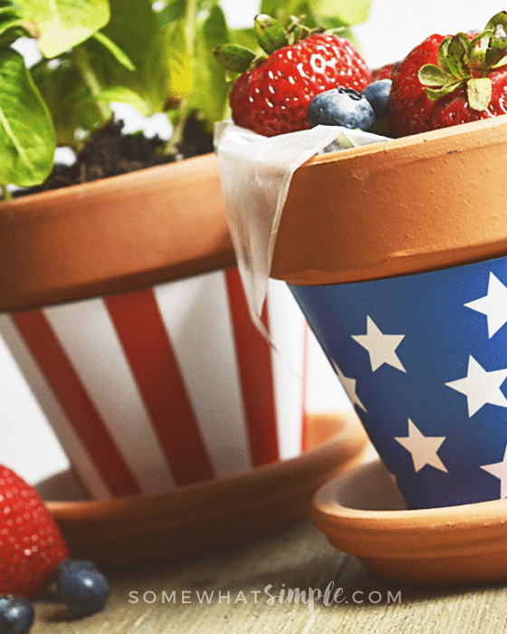 4th of July Party Ideas: 25 Tips for Hosting & Celebrating