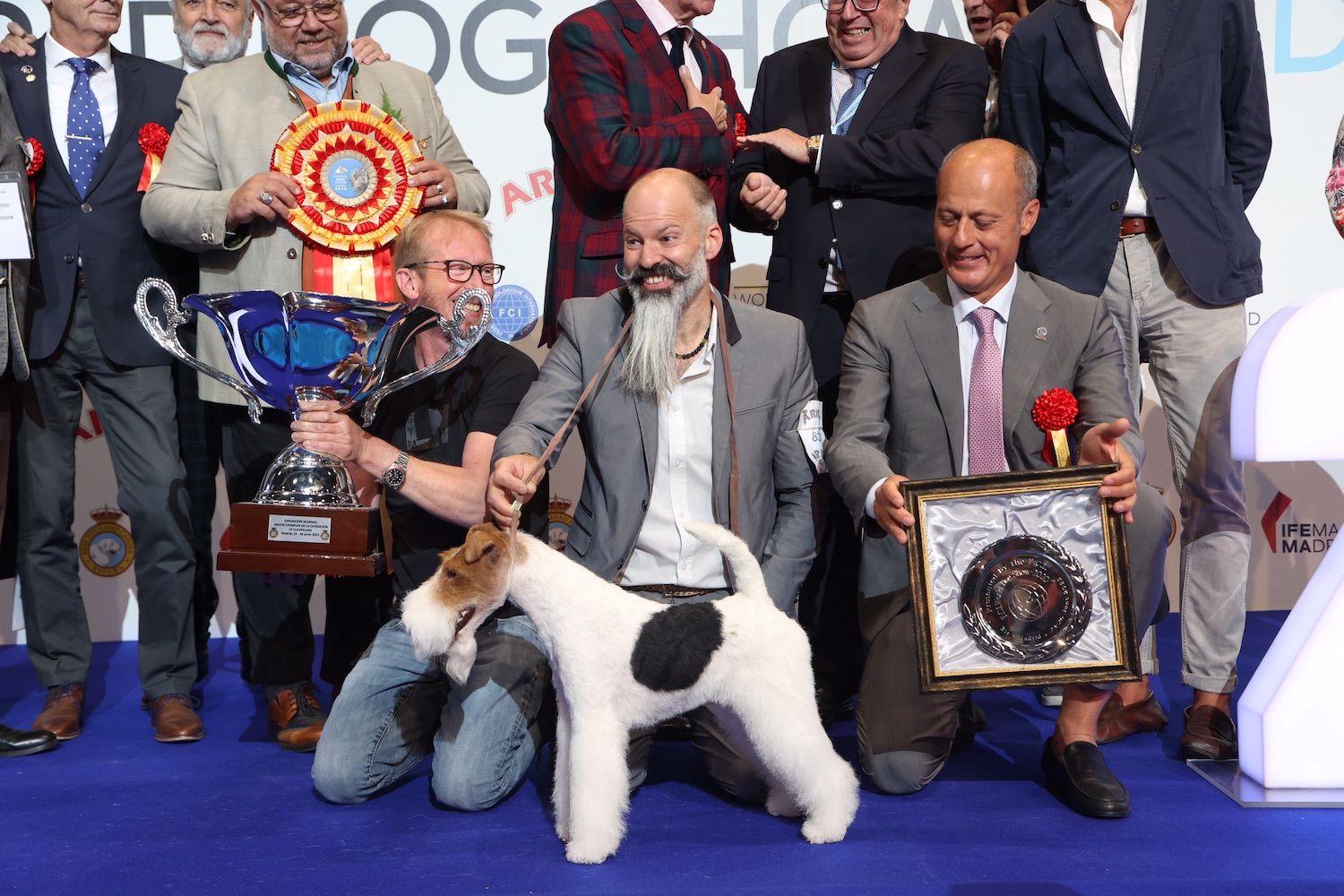 los fox terrier son buenos con los gatos