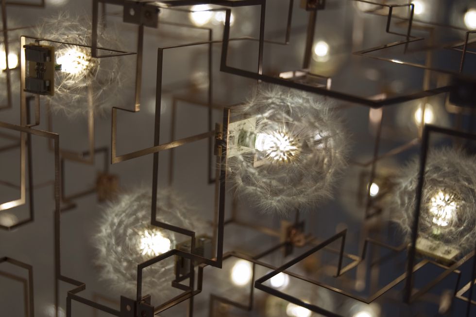 fragile future, studio drift, a chandelier from a ceiling