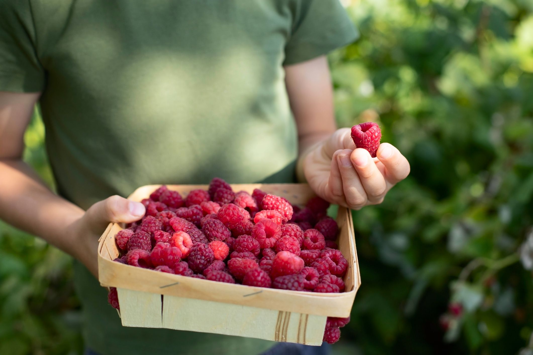 Las 22 Mejores Frutas Para Adelgazar Y Deshincharte