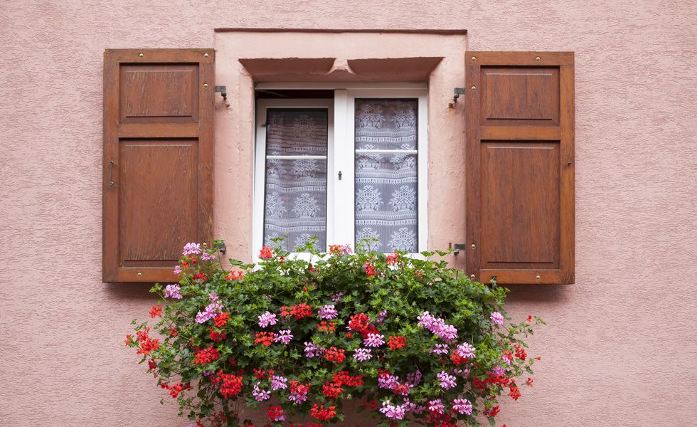 france, alsace, eguisheim, window with window box and geraniums