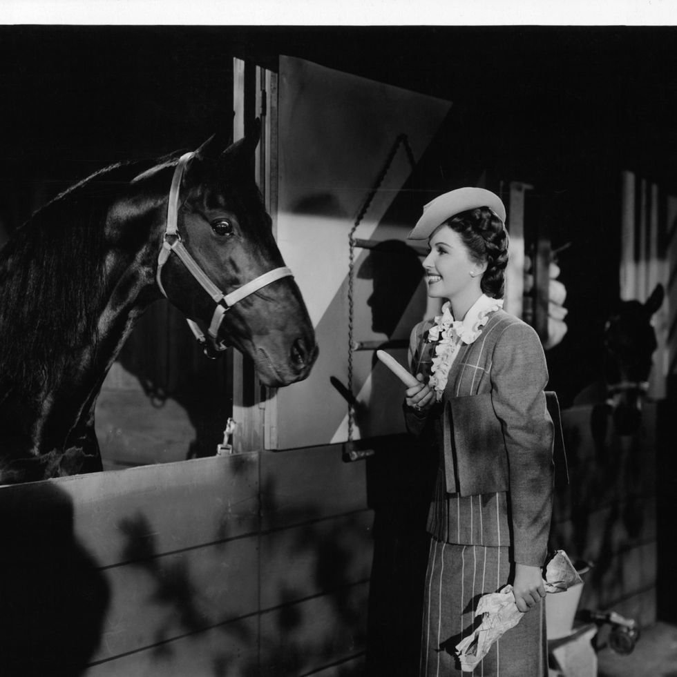 frances gifford holding a carrot to show a horse in a stable in a scene from the film 'she went to the races', 1945. (photo by metro goldwyn mayer/getty images)